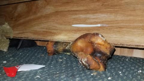 Hide out on Center street - 20210414_151930.jpg