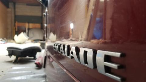 Hide out on Center street - 20210414_153625.jpg