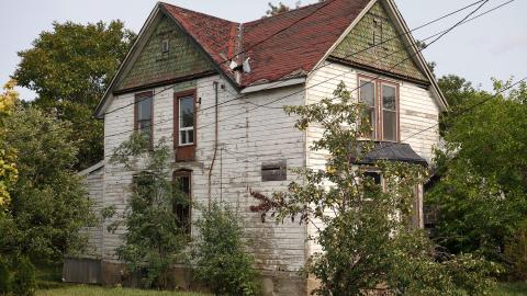 Photo from Crazy Wallpaper Pear House Sept '20