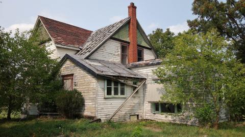 Photo from Crazy Wallpaper Pear House Sept '20