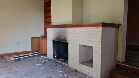 Photo from Crazy Wallpaper Pear House Sept '20