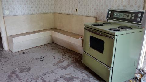 Crazy Wallpaper Pear House Sept '20 - DSC00974.JPG