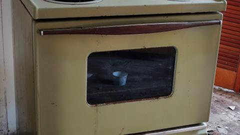 Crazy Wallpaper Pear House Sept '20 - DSC00975.JPG