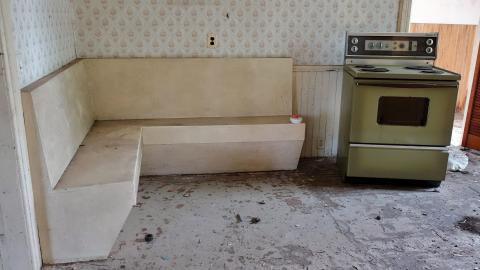 Crazy Wallpaper Pear House Sept '20 - DSC00976.JPG