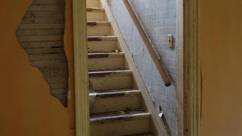 Crazy Wallpaper Pear House Sept '20 - DSC00989.JPG