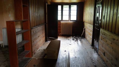 Crazy Wallpaper Pear House Sept '20 - DSC00990.JPG