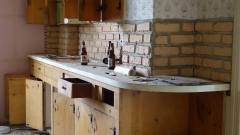 Crazy Wallpaper Pear House Sept '20 - DSC00992.JPG