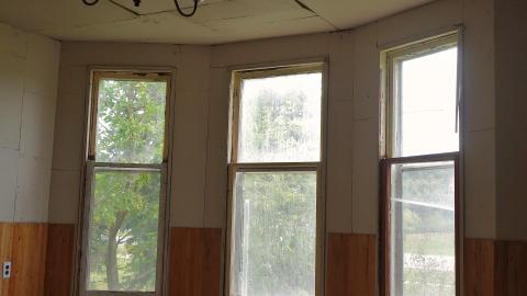 Crazy Wallpaper Pear House Sept '20 - DSC01003.JPG