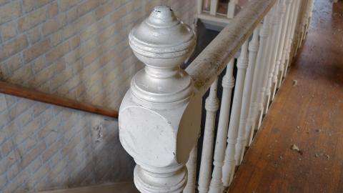 Crazy Wallpaper Pear House Sept '20 - DSC01005.JPG