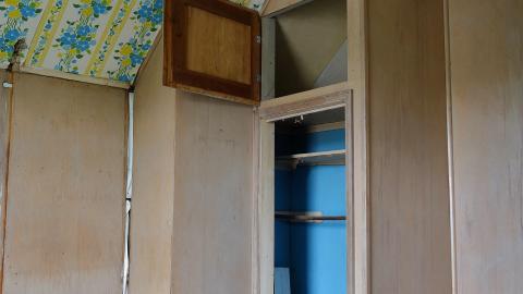 Crazy Wallpaper Pear House Sept '20 - DSC01006.JPG