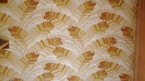 Crazy Wallpaper Pear House Sept '20 - DSC01013.JPG