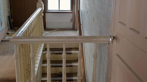 Crazy Wallpaper Pear House Sept '20 - DSC01028.JPG