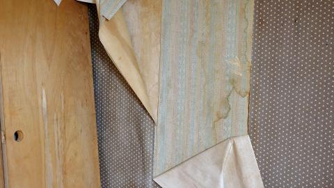 Crazy Wallpaper Pear House Sept '20 - DSC01030.JPG