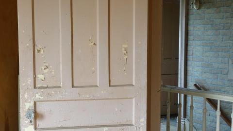 Crazy Wallpaper Pear House Sept '20 - DSC01032.JPG