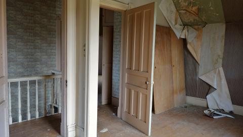 Crazy Wallpaper Pear House Sept '20 - DSC01049.JPG