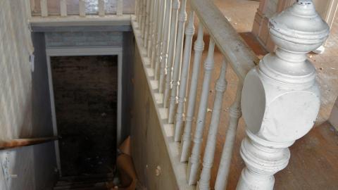 Crazy Wallpaper Pear House Sept '20 - DSC01052.JPG