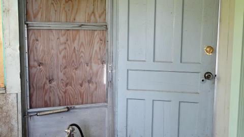 Crazy Wallpaper Pear House Sept '20 - DSC01053.JPG