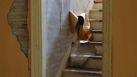 Crazy Wallpaper Pear House Sept '20 - DSC01057.JPG