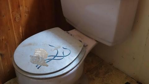 Crazy Wallpaper Pear House Sept '20 - DSC01066.JPG