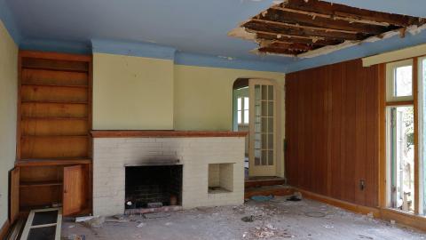 Crazy Wallpaper Pear House Sept '20 - DSC01068.JPG