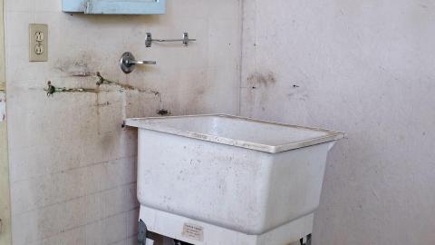 Crazy Wallpaper Pear House Sept '20 - DSC01072.JPG