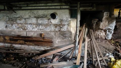 Crazy Wallpaper Pear House Sept '20 - DSC01073.JPG