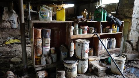 Crazy Wallpaper Pear House Sept '20 - DSC01075.JPG