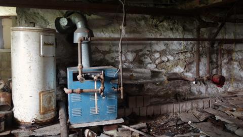 Crazy Wallpaper Pear House Sept '20 - DSC01077.JPG