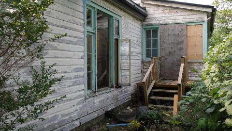 Crazy Wallpaper Pear House Sept '20 cover photo