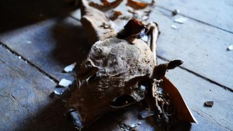 Flashback - May 2014 - DSC_0684.jpg