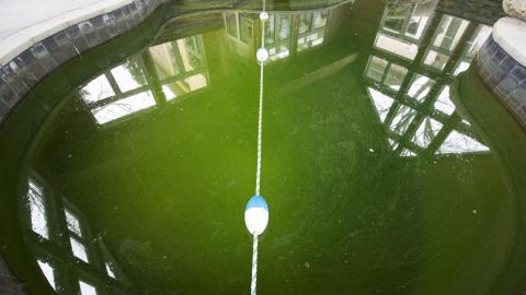 Sunningdale Pool Party - April 2019 - 40.jpg