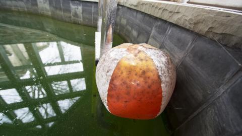 Sunningdale Pool Party - April 2019 - 41.jpg