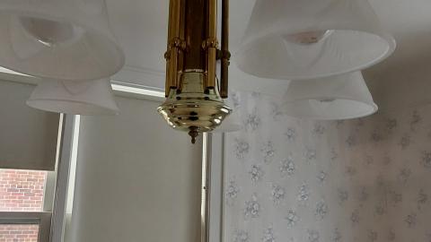 Smoke detectors scream to - 20210119_153915.jpg