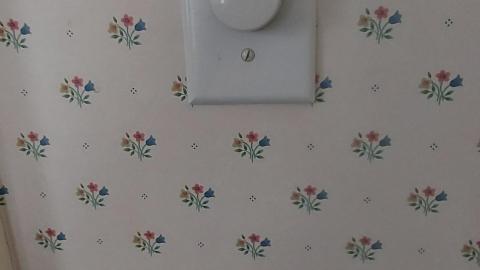 Smoke detectors scream to - 20210119_153841.jpg