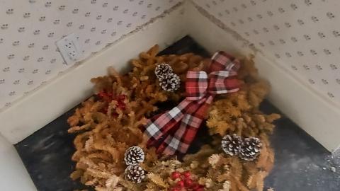 Smoke detectors scream to - 20210119_153559.jpg