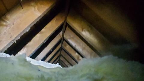 Smoke detectors scream to - 20210119_145114.jpg