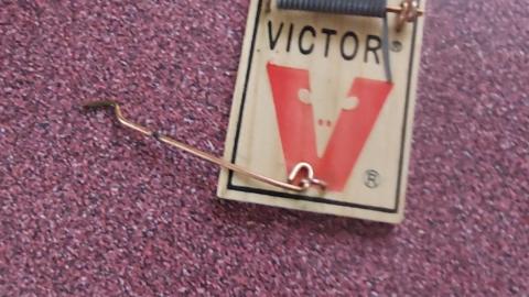 Smoke detectors scream to - 20210119_135031.jpg