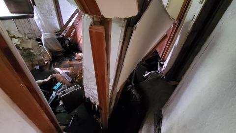 Pandemic Summer 2020 - 20200820_112308.jpg