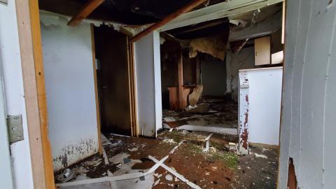 Pandemic Summer 2020 - 20200820_112529.jpg