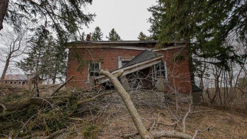 April 2021 - 81EC767C-837F-4658-8645-1FBCA4F82F5A.jpeg