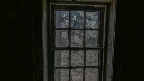 April 2021 - 9194A8E9-C7E2-4B32-94B8-AB9FEABE34AD.jpeg