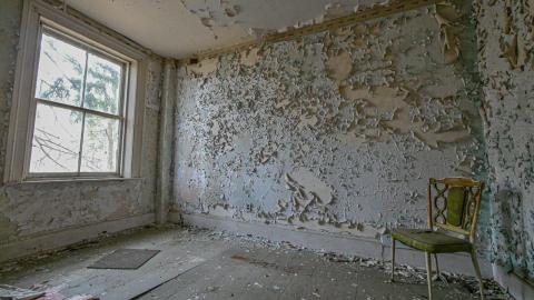 April 2021 - 8D3CA82A-F63C-4301-B426-C3DF05A9192B.jpeg