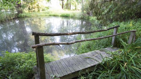 Winners Circle - August 2018 - 4.jpg