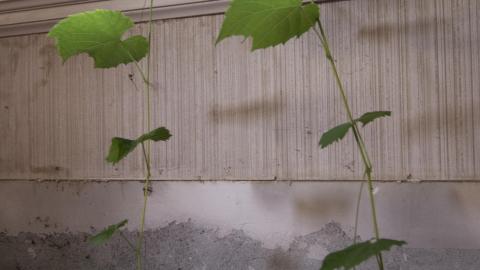 Winners Circle - August 2018 - 13.jpg