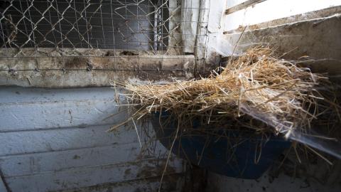 Winners Circle - August 2018 - 28.jpg