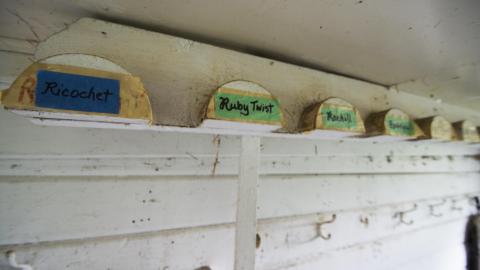 Winners Circle - August 2018 - 34.jpg