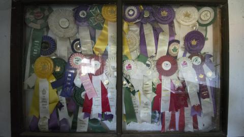 Winners Circle - August 2018 - 35.jpg