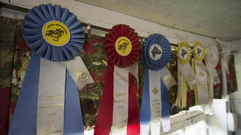 Winners Circle - August 2018 - 36.jpg