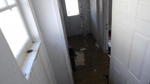 TICK...(2 Days In + 8 Days In...) - IMG_9277.JPG