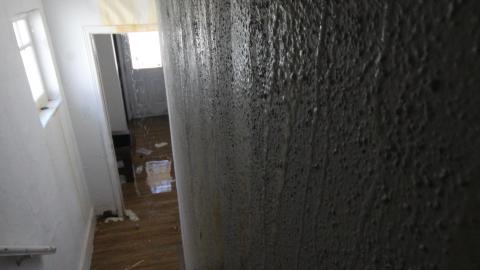 TICK...(2 Days In + 8 Days In...) - IMG_9275.JPG